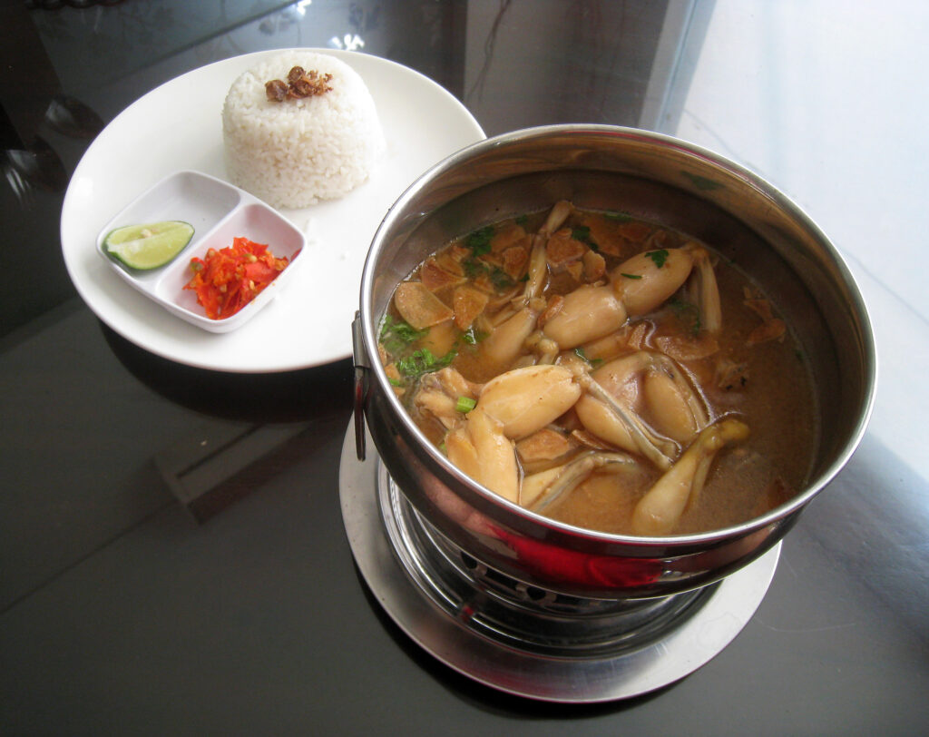 soup kodok