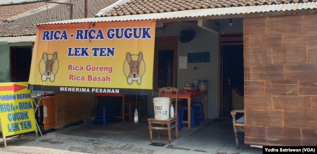 daging anjing