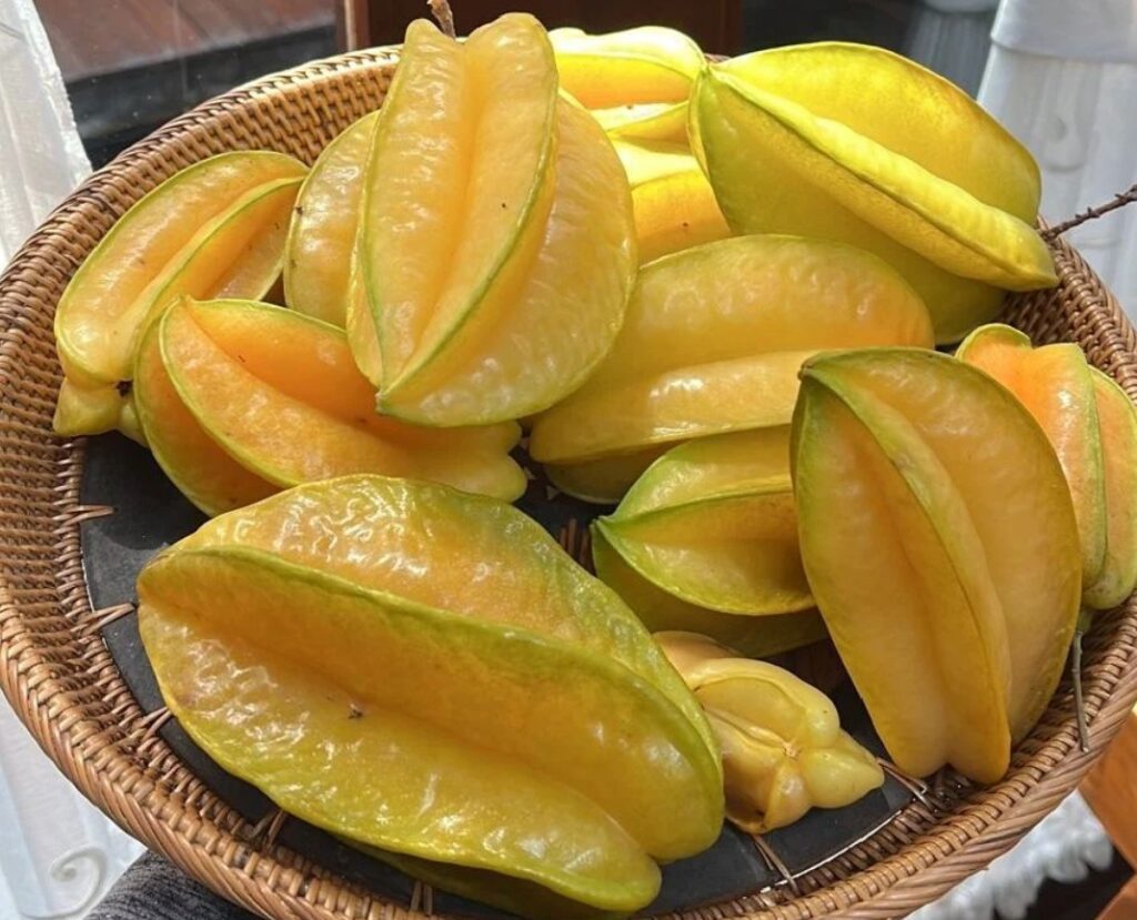 belimbing indonesia