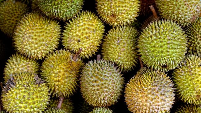 buah duren enak